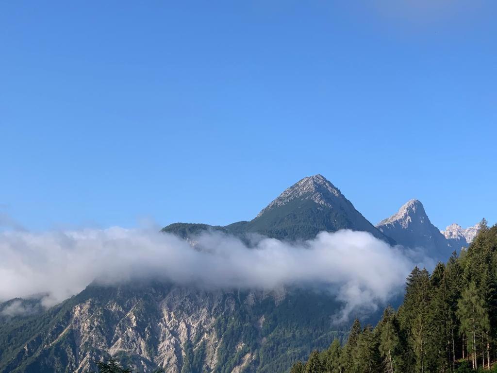 Ferienwohnung L' Antica Casa Di Maria Lilia Pieve di Cadore Exterior foto